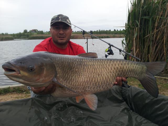 Tancabesti 9 - 10 mai 2014 - 20140510095202.jpg